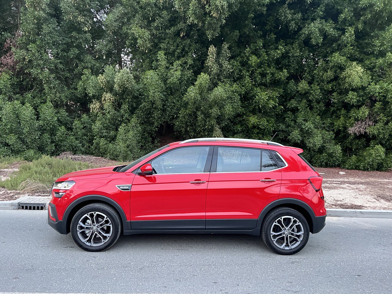 Picture Skoda Kushaq (Full options) 